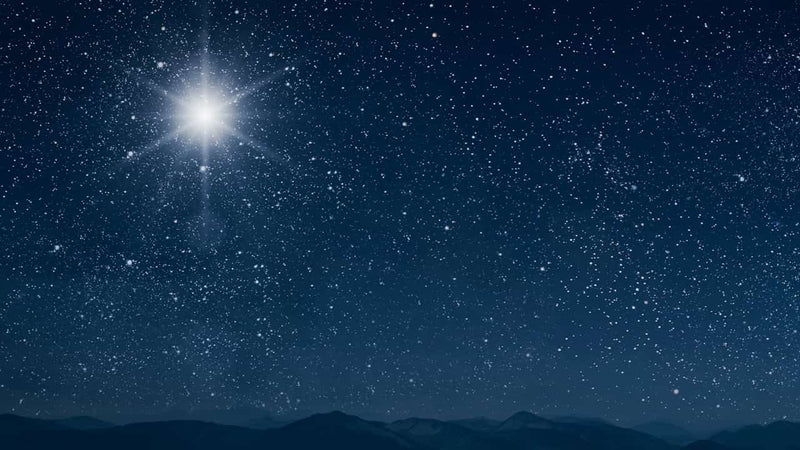 "You Don’t Really Believe in the Virgin Birth… Do You?” A Christmas Reflection